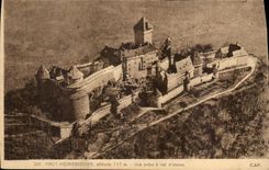 CPA High Koenigsbourg Seen from has flight bird