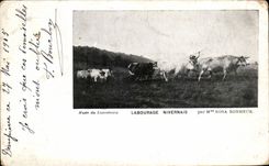 CPA Labourage Nivernais par Me Rosa Bonheur Attelage Musee du Luxembourg Paris 