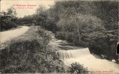 CPA Morvan Illustrates the Jump of Trout