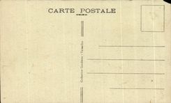 CPA Versailles L Aile Nord du Palais le jour des Grandes Eaux