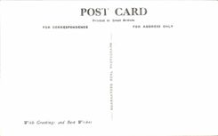 CPA Solomon S Temple Organ Pipes Archangel Wing Gough S Cheddar Cellars