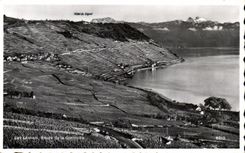 CPA Lac Leman Reute de la Corniche