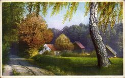 Bucolic CPA Landscape