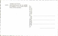 CPA Les Chateaux De La Loire Le chateau vu du Jardin Public View of the Gardens Loches