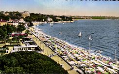 Opinion de los pinos de CPA Juan de la playa