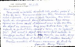 Opinion de los pinos de CPA Juan de la playa