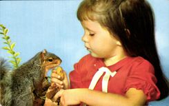 CPA Campagne Sauvergarde De L Enfance Enfant et ecureuil