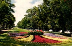 CPA La Rochelle Allee of the Mall