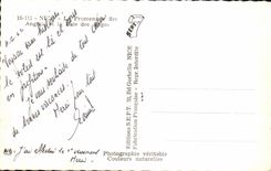 CPA Niza la caminata del ingles y la bahia de los Angeles