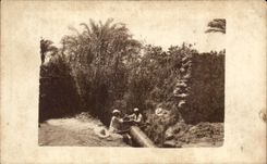 CARTE PHOTO Afrique Africa