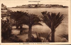 CPA Saint Malo Vu de la Palmeraie de Dinard