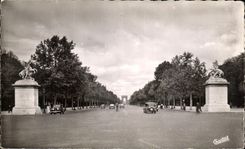 CPA Paris Les Chevaux de Marly Perspective sur les Champs Elysees