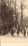 CPA Paris the Bois de Boulogne With the Acacias Horse Horse