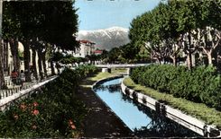 CPSM Perpignan Les Quais Fleuris de la Basse et au fond le Canigou