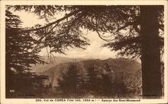 CPA Col de Chrea I ete Apercu des Beni Messaoud