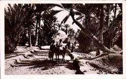 CPA Marabout dans I oasis Ane Donkey