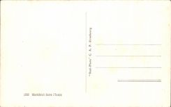 CPA Marabout dans I oasis Ane Donkey