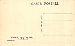 CPA Gorges du Chabet El Akra Sous le Tunnel