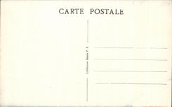 CPA Palmiers au bord d un Ouad