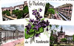 CPA Les Viotettes de Toulouse