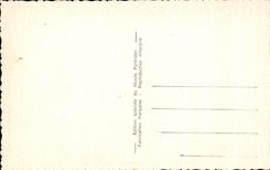 CPA Lourdes the Castle Fort Seen Together