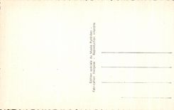 CPA Lourdes Le Chateau Fort Musee Pyreneen Salle de la Faune Pyreneenne Ours Bear Chamois Renard 