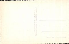 CPA Lourdes Le Chateau Fort Musee Pyreneen Salle de la Faune Pyreneenne Chamois Bear ours