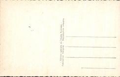 CPA Lourdes Le Chateau Fort Reproduction miniature de maisons Pyreneennes