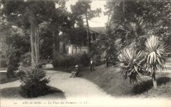 CPA Arcachon La Place des Palmiers