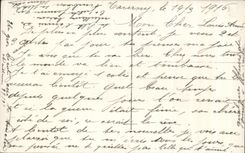 La fantasia de CPA florece la bandera de Francia de la bandera