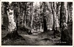 CPA Bourboule Under wood of Charlet