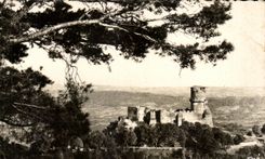 CPA Beautiful French Provinces Auvergne Castle of Tourncel seen in North