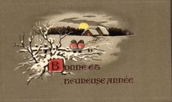 CPA Good Fantasy and Beureuse year Bird