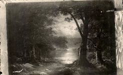 CPSM Paysage de foret