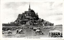CPA Le Mont Saint Michel Moutons 