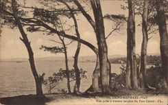 CPA Saint Raphael Vue Prise A Travers Les Pins Du Parc Calvet