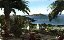 CPA Giens Vue sur L'Ile De Ribaud