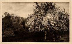 CPA Normandie Bocage Normand pres de vire
