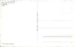 CPA Souvenir du Lac Leman