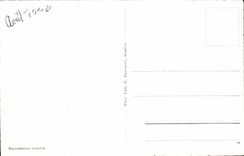 CPA Souvenir De Nyon