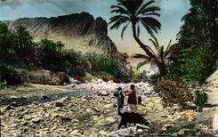 CPA Collection Artistique Un Joli Coin De l'Oued Et De L'Oasis Algerie 