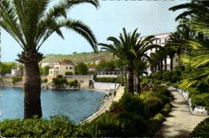 CPA La Cote d'Azur Beaulieu Sur Mer Le Jardin Exotique La Bie Des Fourmis Et les Grands Hotels