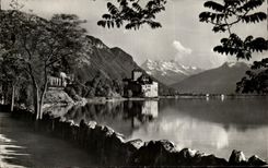 CPA Lac Leman Chateau de Chillon et les Dents du Midi