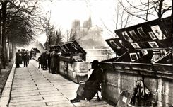 CPA Paris En Flanant Les Bouquinistes du quai de la Tournelle Notre Dame