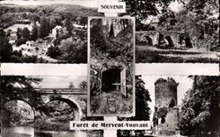 CPA Foret de Mervent Vouvant