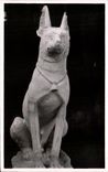 CPA Chien En Calcaire Traces De La Polychromie Primitive Dynastie Egypt Egypte