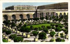 CPA Versailles Le Chateau Et l'Orangerie Castle And Orangery