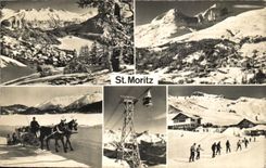 CPA St Moritz Traineau Cheval Horse Ski
