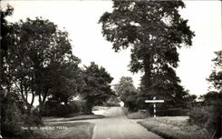 CPA The Elm Sibrofd Ferris