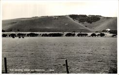 CPA The Downs Near Wilmington